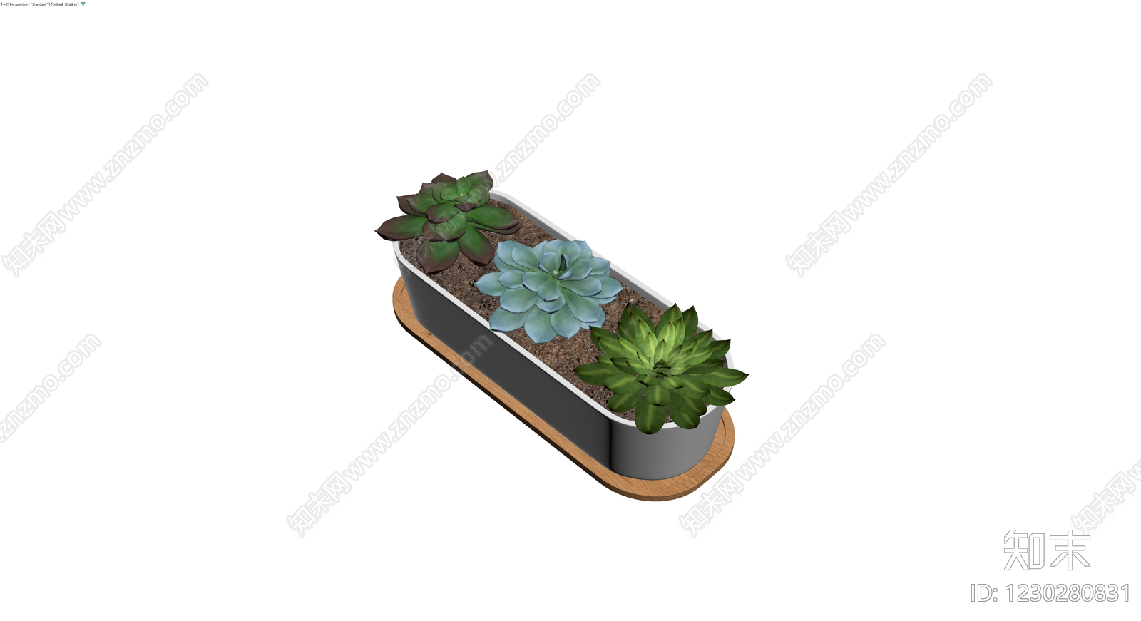 多肉盆栽组合3D模型下载【ID:1230280831】