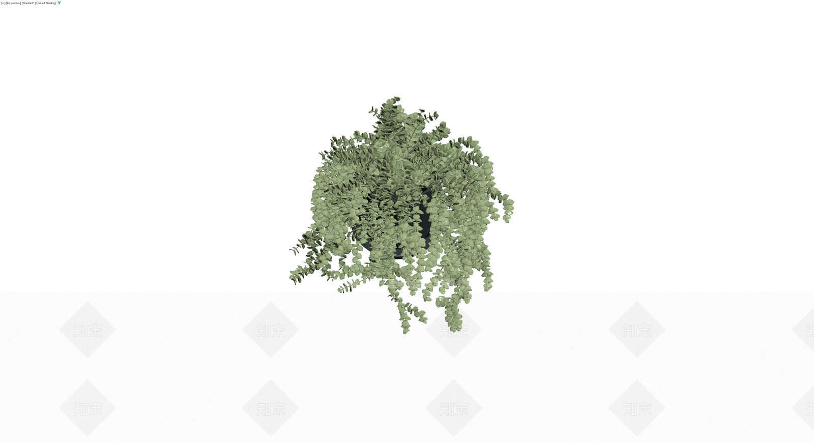 黑盆垂吊绿植盆栽3D模型下载【ID:1230411842】