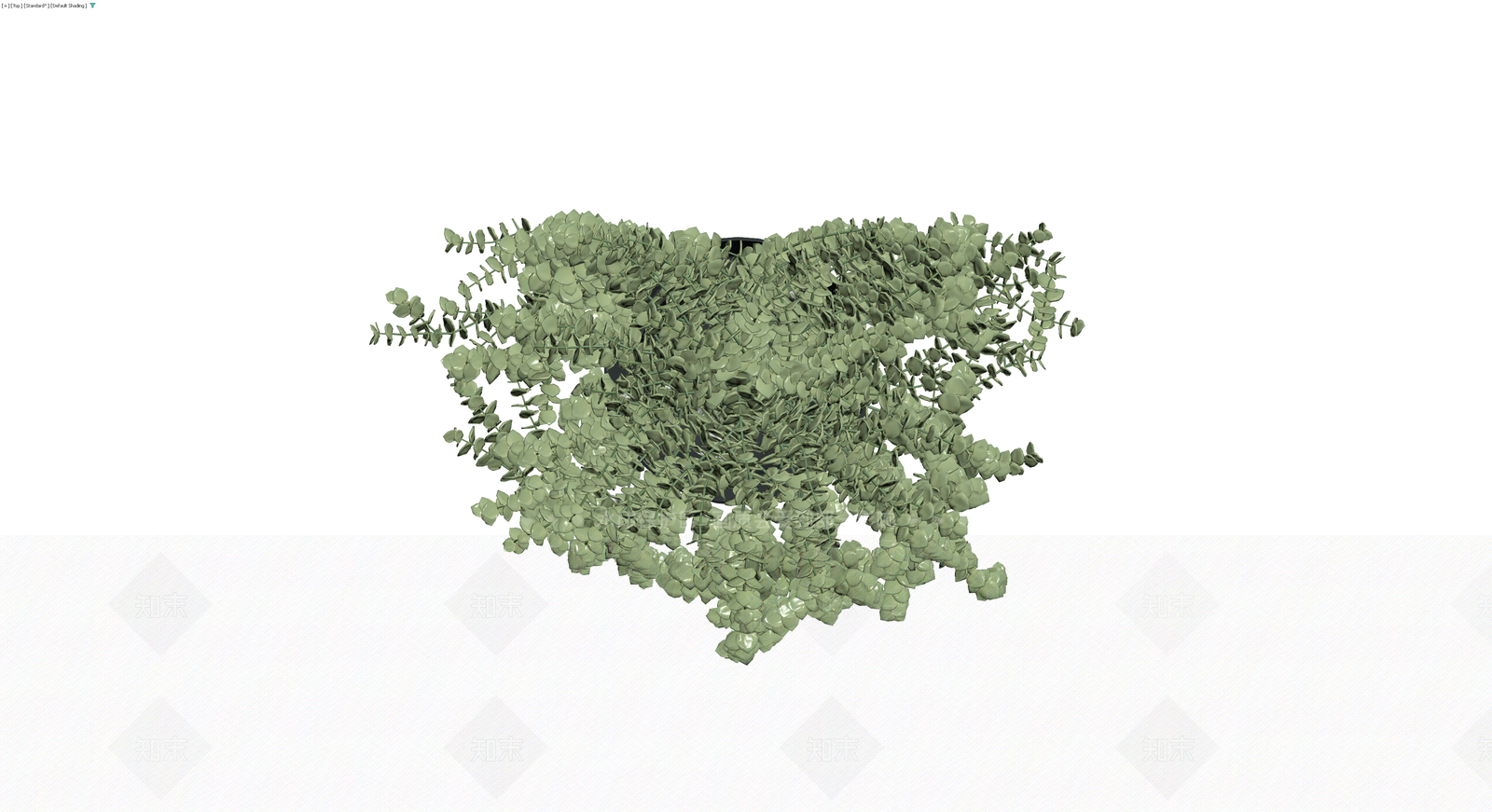黑盆垂吊绿植盆栽3D模型下载【ID:1230411842】