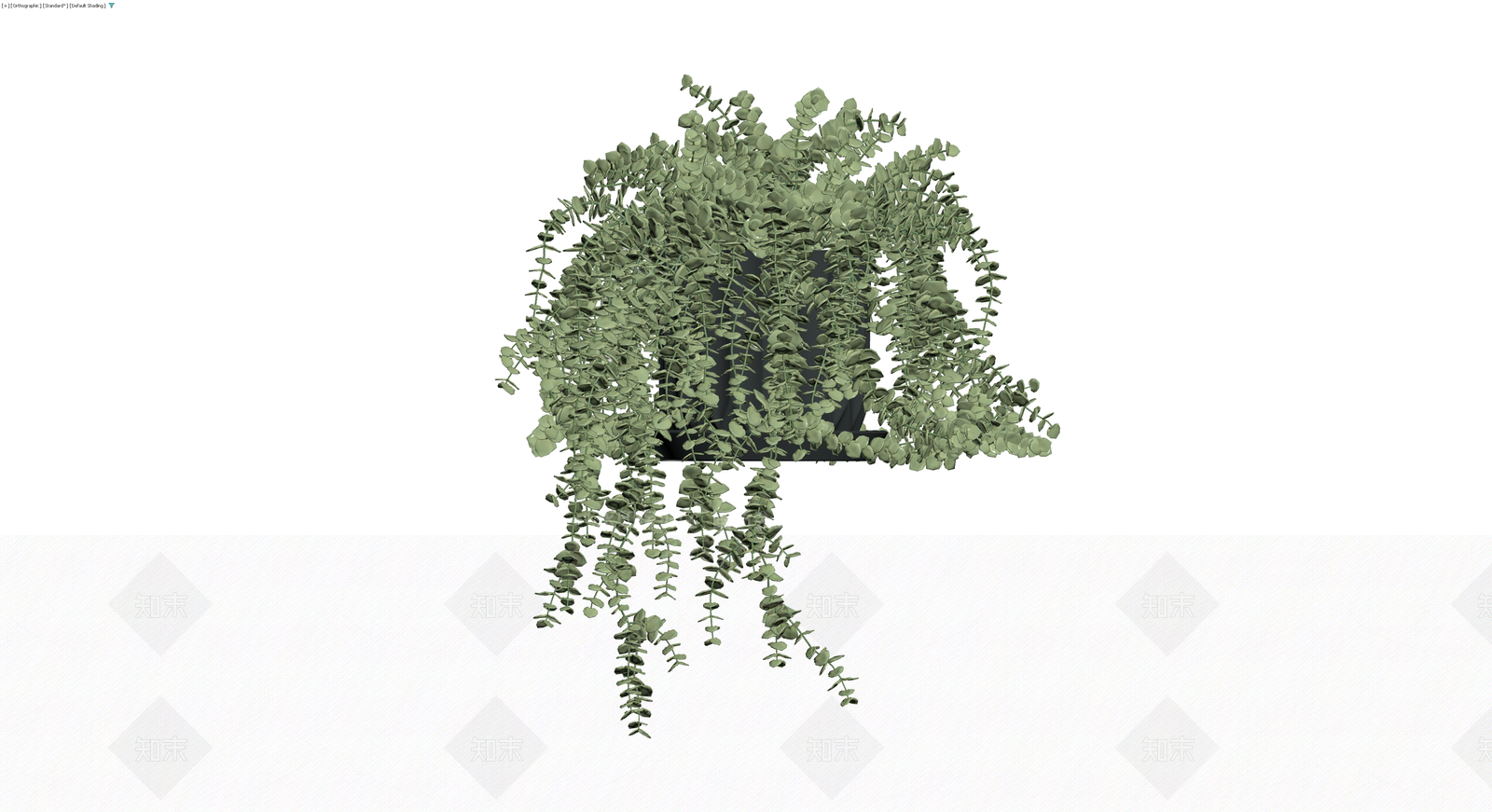 黑盆垂吊绿植盆栽3D模型下载【ID:1230411842】