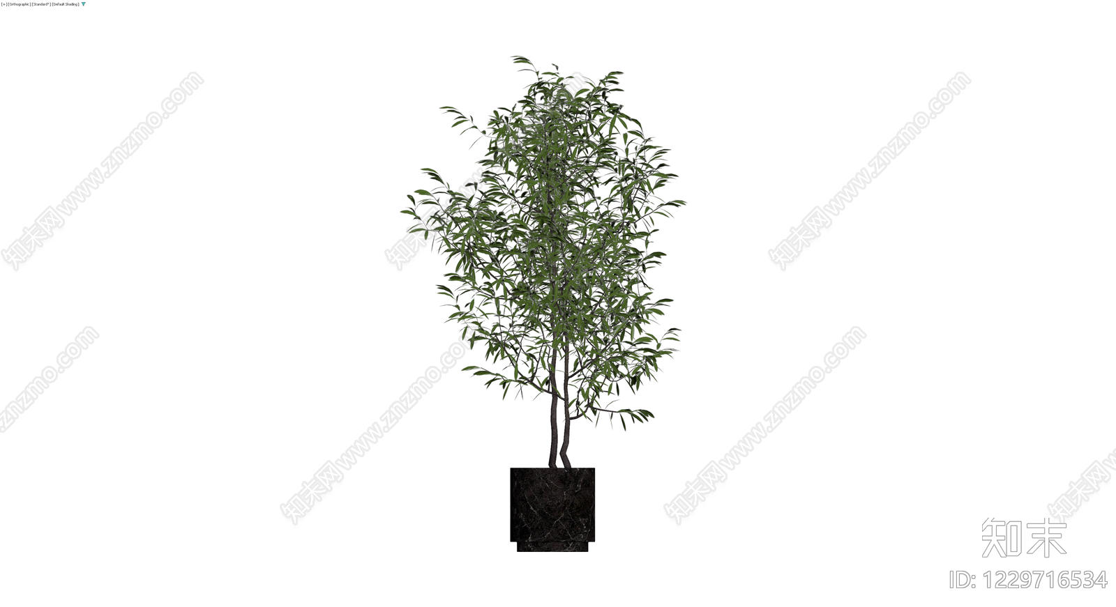 黑色大理石盆栽植物3D模型下载【ID:1229716534】