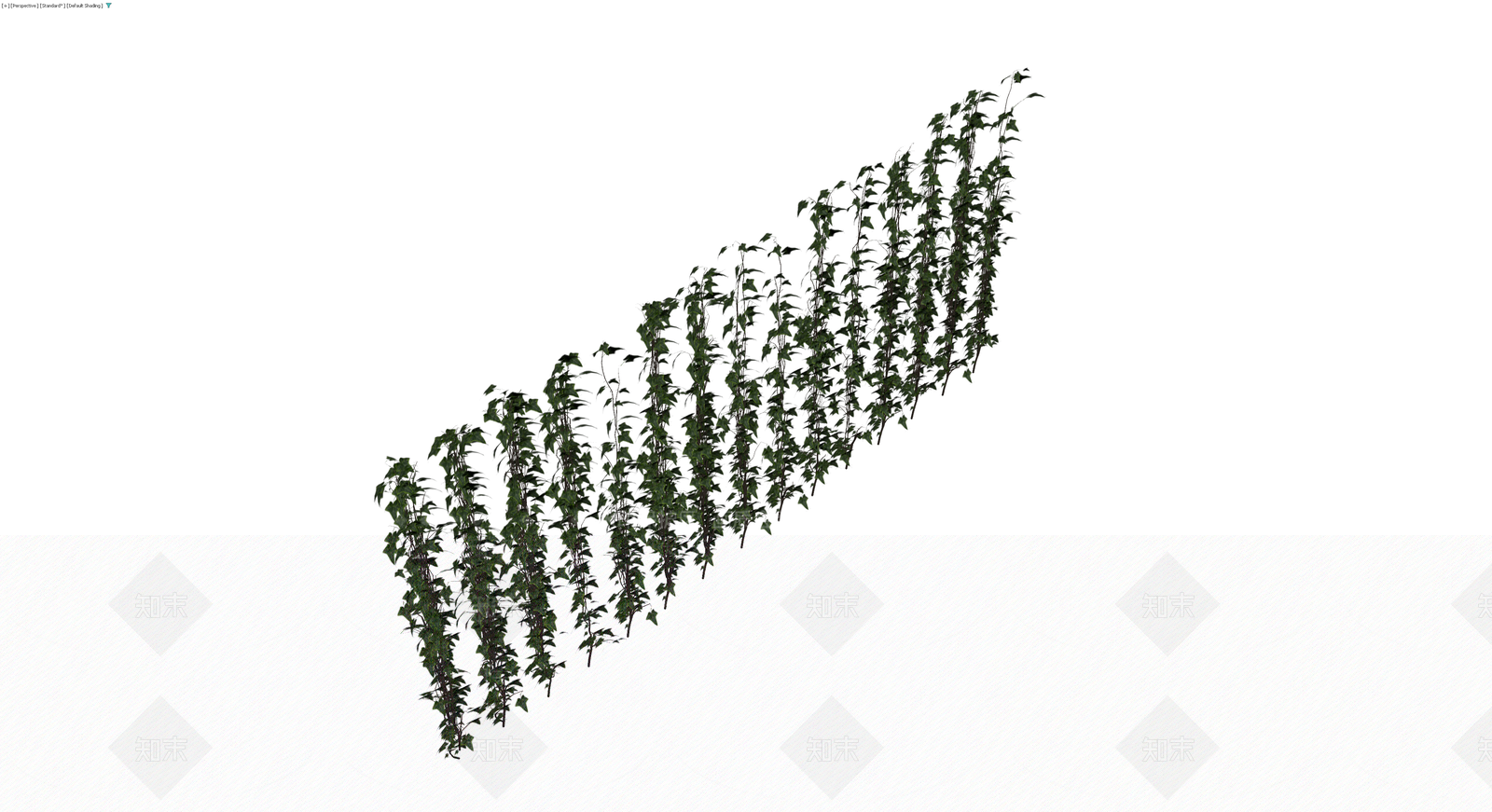 垂直常春藤植物组3D模型下载【ID:1229945906】