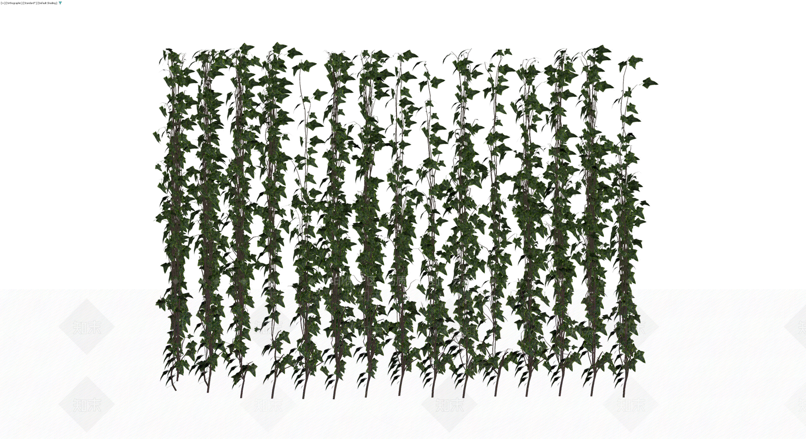 垂直常春藤植物组3D模型下载【ID:1229945906】
