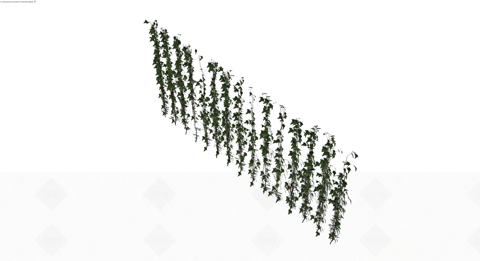 垂直常春藤植物组3D模型下载【ID:1229945906】