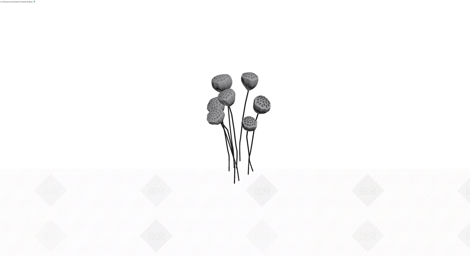 干莲蓬植物组合模型3D模型下载【ID:1229905950】
