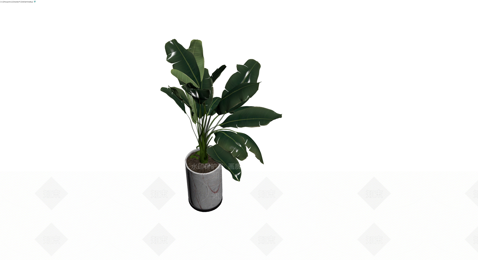 大理石纹盆栽绿植3D模型下载【ID:1229921923】