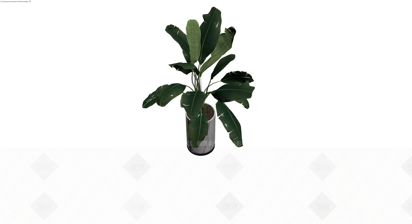 大理石纹盆栽绿植3D模型下载【ID:1229921923】