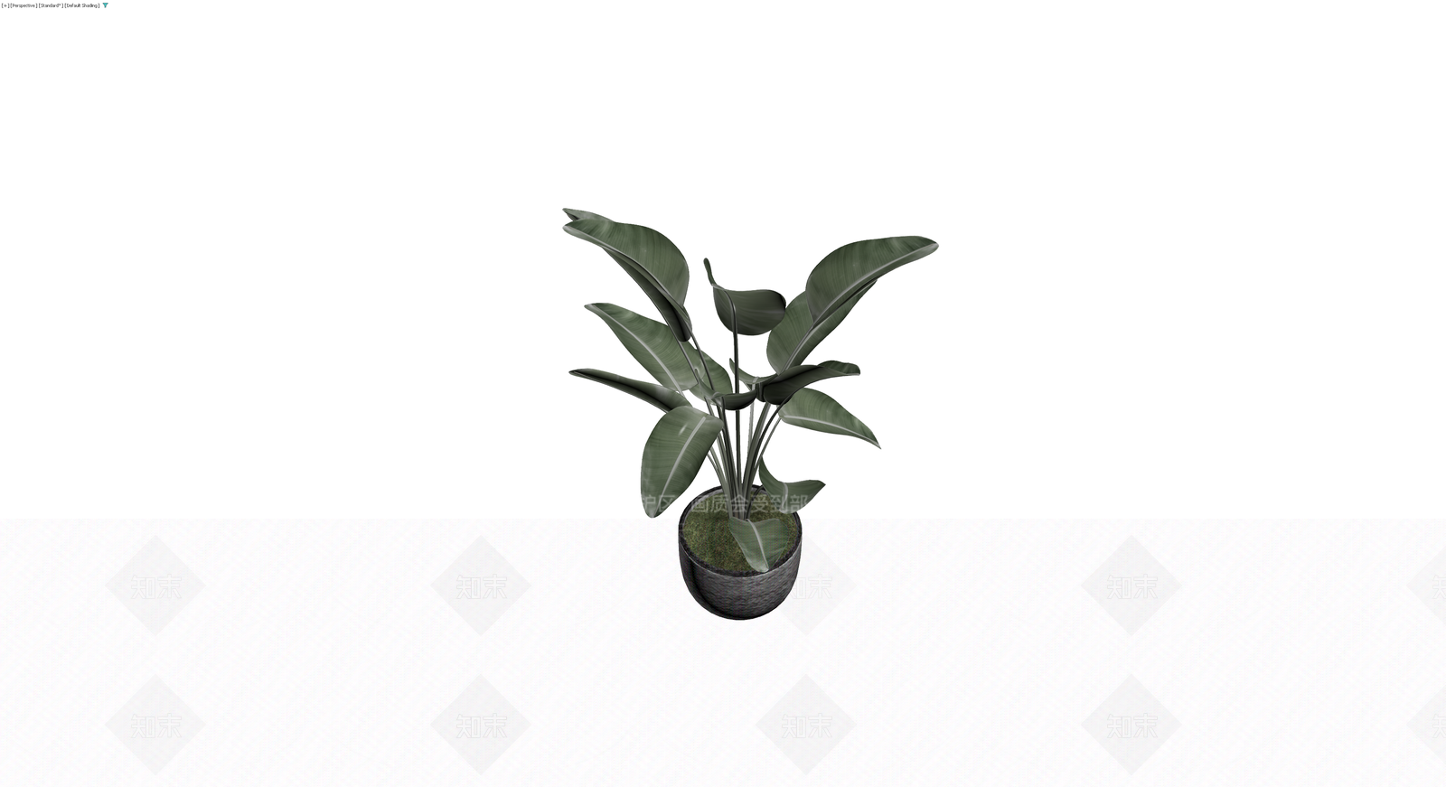 盆栽绿植带编织花盆3D模型下载【ID:1230610122】