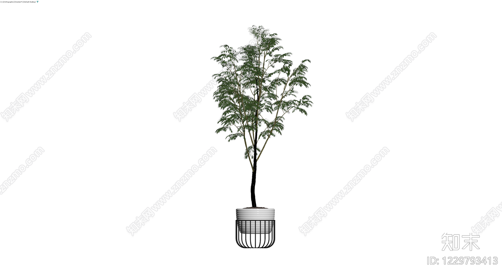 白盆绿植盆栽组合3D模型下载【ID:1229793413】