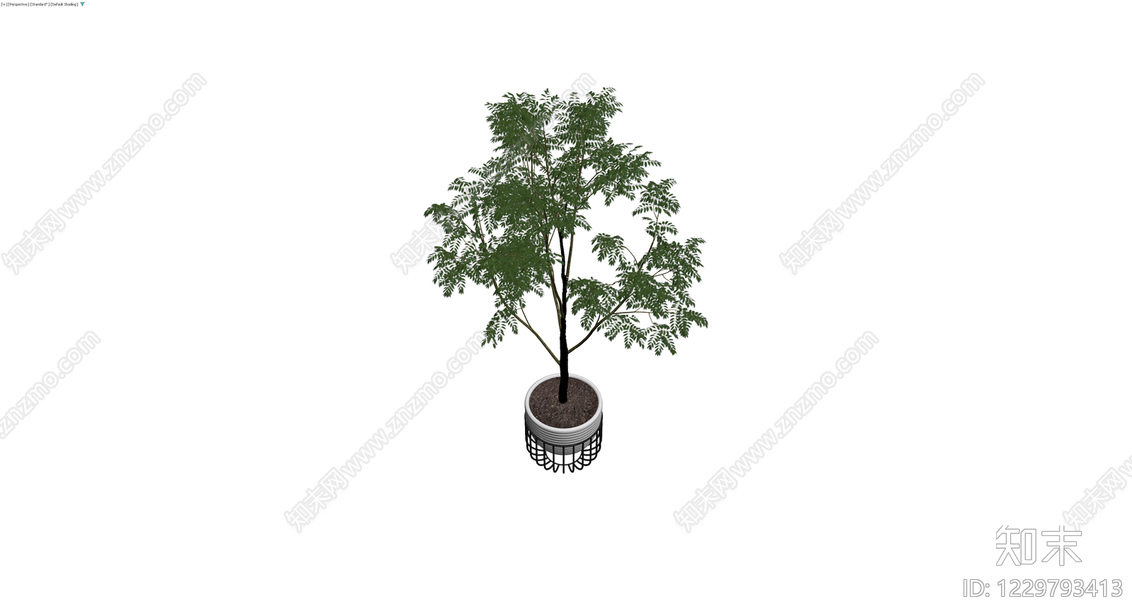 白盆绿植盆栽组合3D模型下载【ID:1229793413】