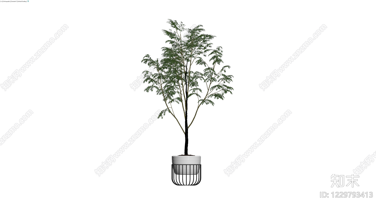 白盆绿植盆栽组合3D模型下载【ID:1229793413】