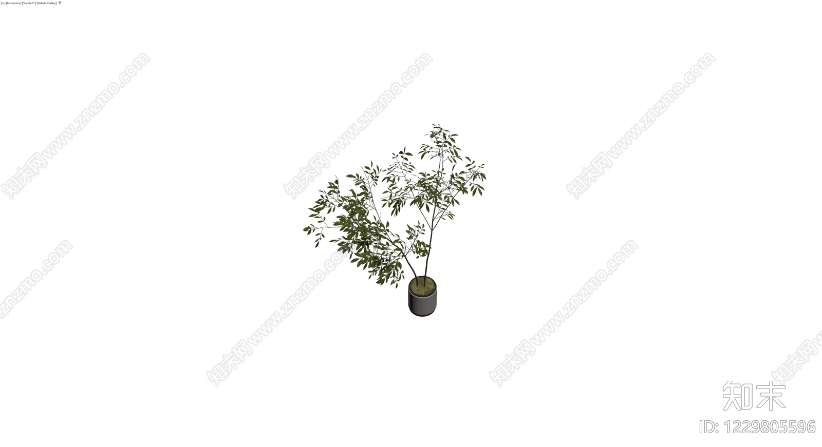 盆栽绿植模型3D模型下载【ID:1229805596】
