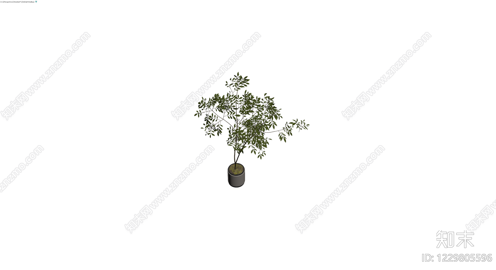 盆栽绿植模型3D模型下载【ID:1229805596】