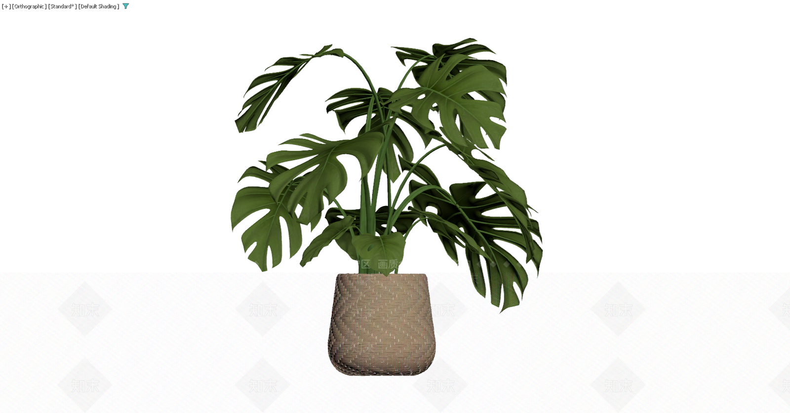 编织盆龟背竹盆栽3D模型下载【ID:1229589114】