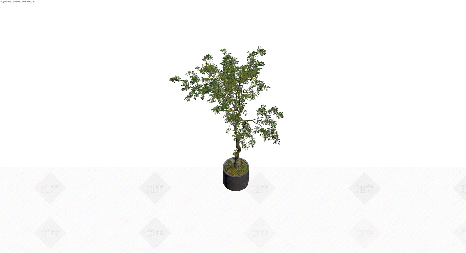 盆栽绿植带盆3D模型下载【ID:1230586200】