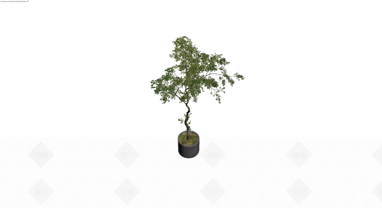 盆栽绿植带盆3D模型下载【ID:1230586200】