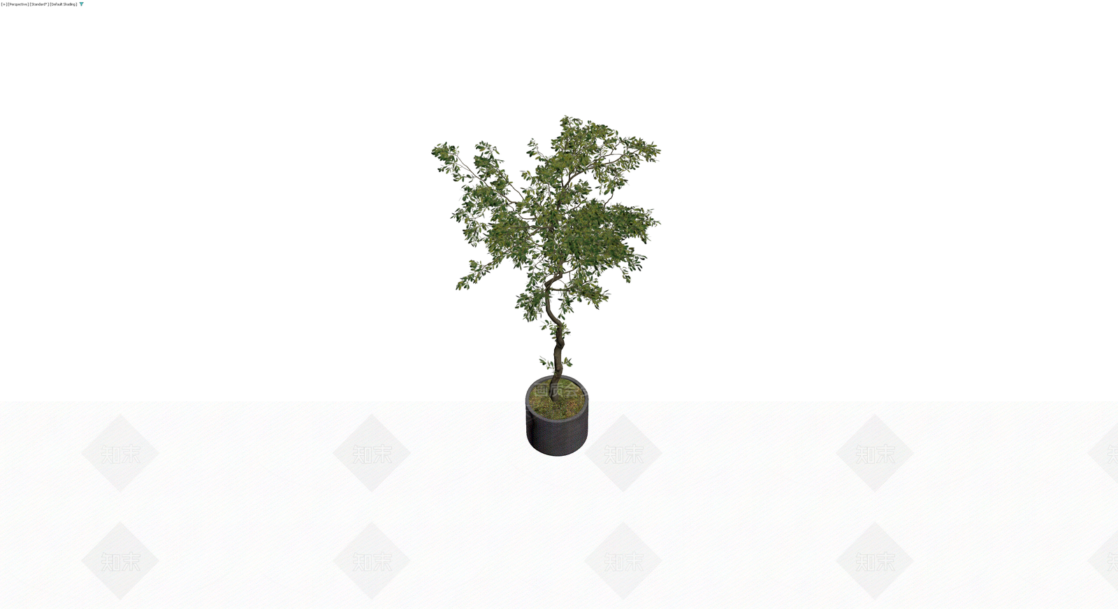 盆栽绿植带盆3D模型下载【ID:1230586200】