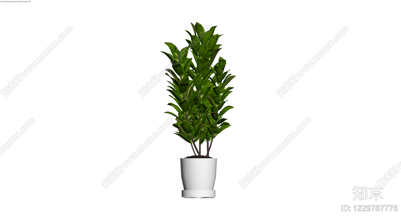 盆栽金钱树带盆3D模型下载【ID:1229787776】