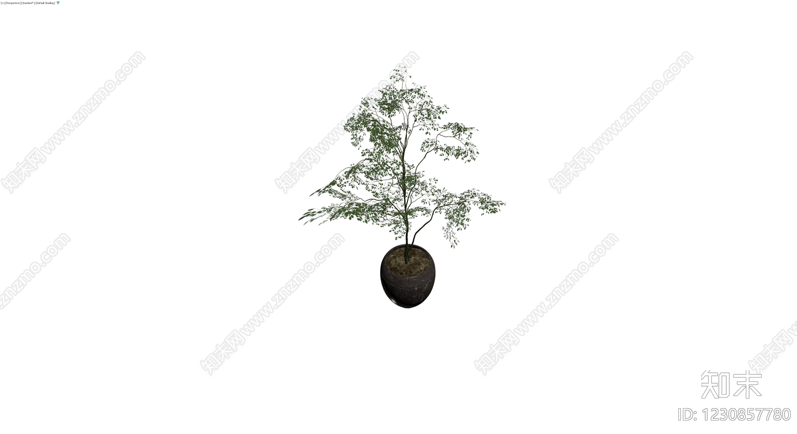 盆栽绿植带盆3D模型下载【ID:1230857780】