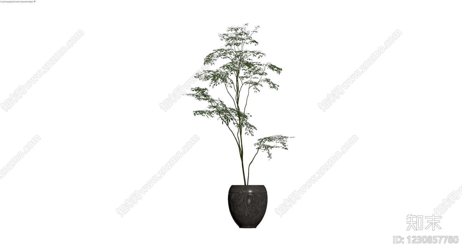 盆栽绿植带盆3D模型下载【ID:1230857780】