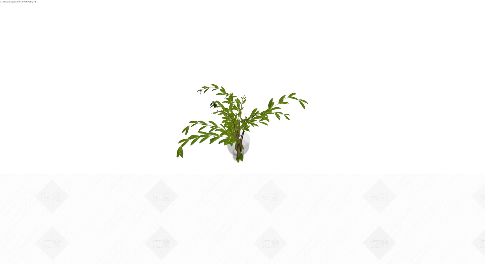 带盆绿植盆栽模型3D模型下载【ID:1229672036】