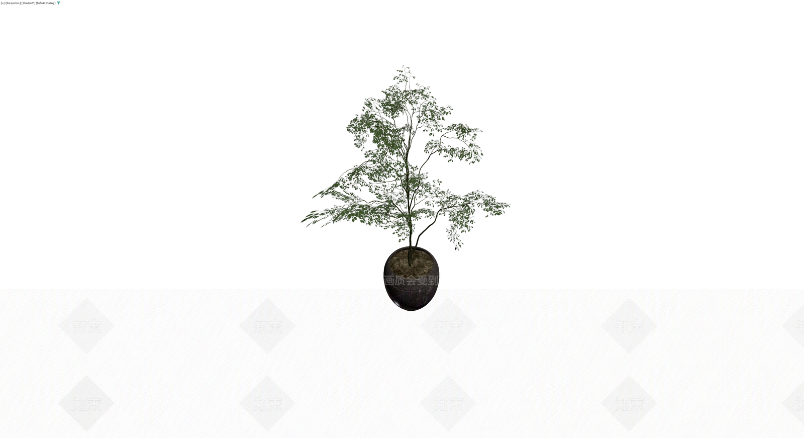 盆栽植物组合3D模型下载【ID:1230542655】