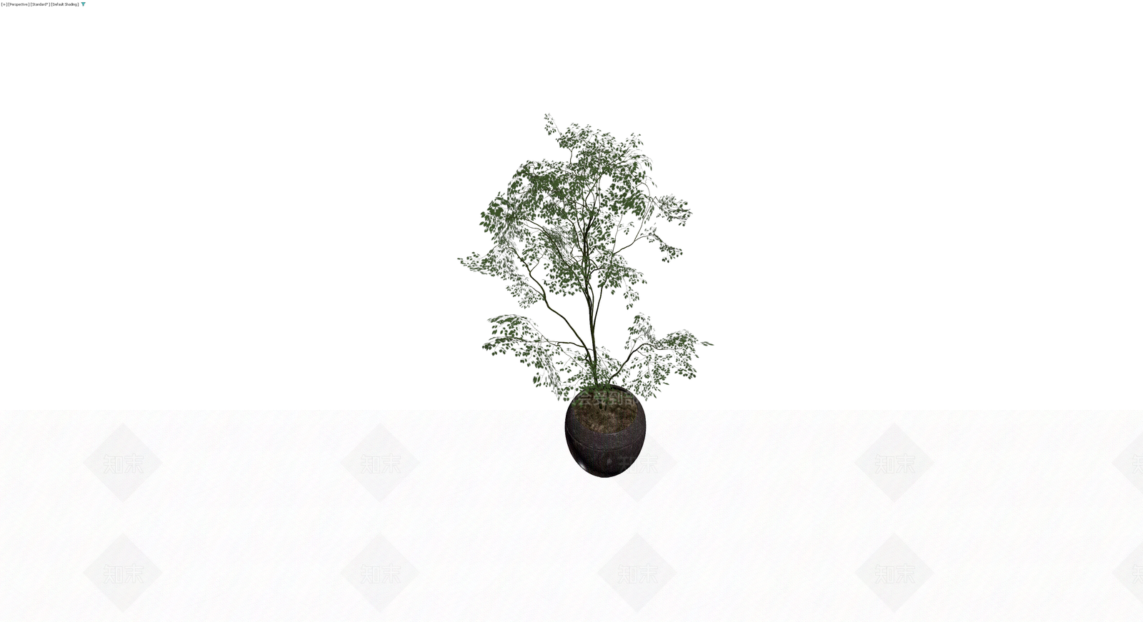 盆栽植物组合3D模型下载【ID:1230542655】