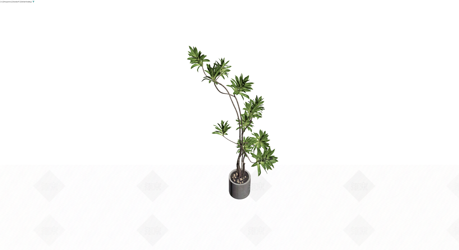 盆栽绿植带盆3D模型下载【ID:1230791285】