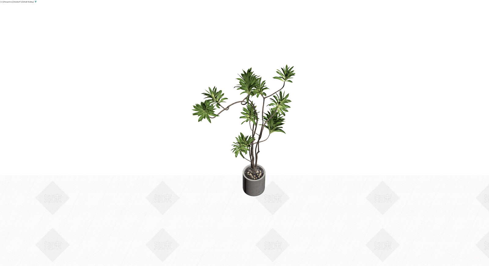 盆栽绿植带盆3D模型下载【ID:1230791285】
