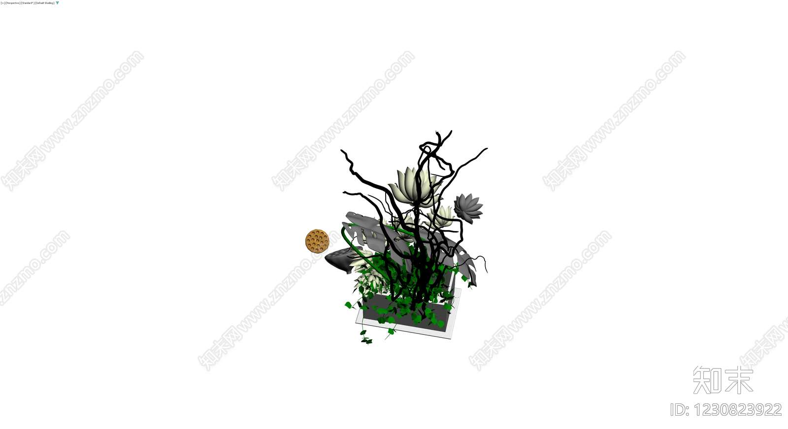 白莲枯枝盆栽组合3D模型下载【ID:1230823922】