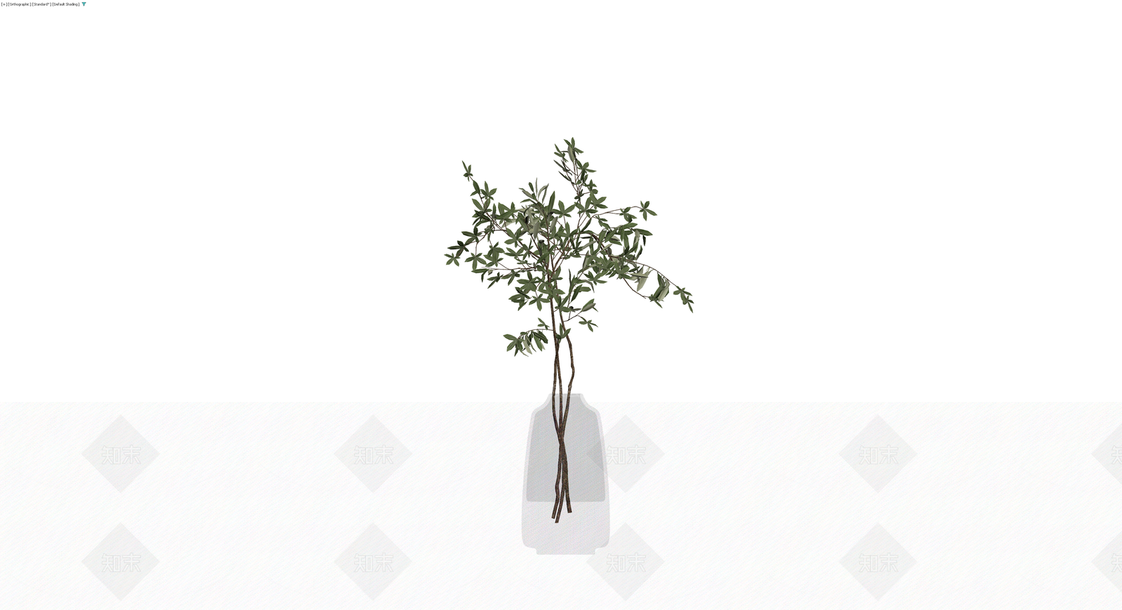 带瓶橄榄枝盆栽3D模型下载【ID:1230131385】