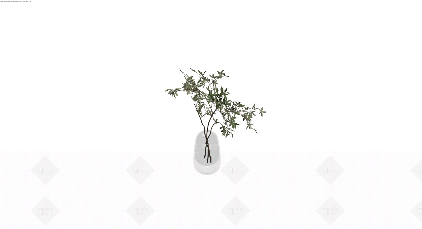 带瓶橄榄枝盆栽3D模型下载【ID:1230131385】