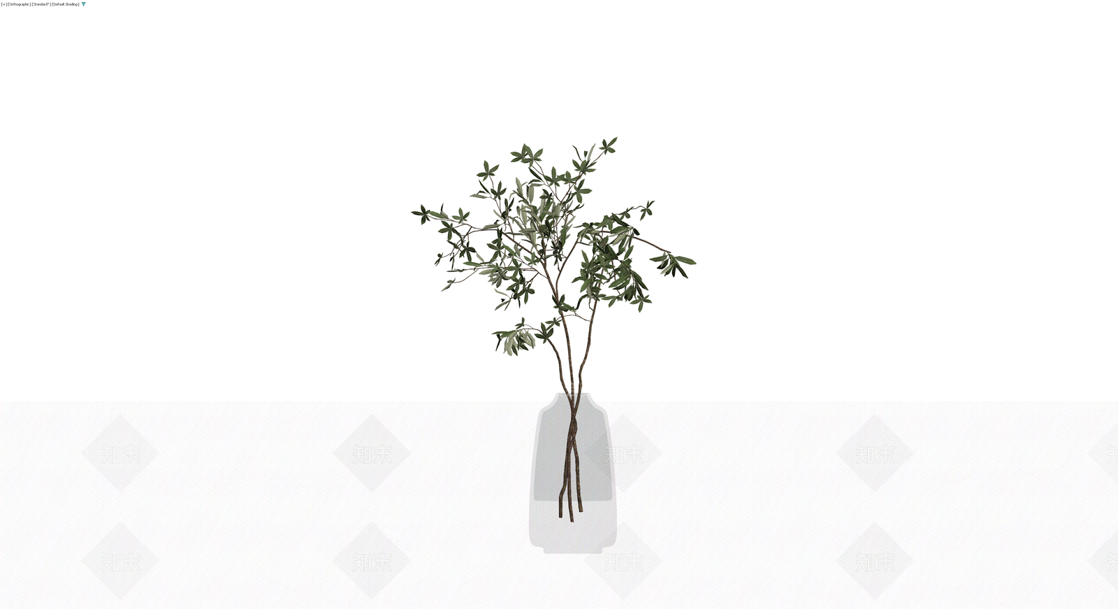带瓶橄榄枝盆栽3D模型下载【ID:1230131385】