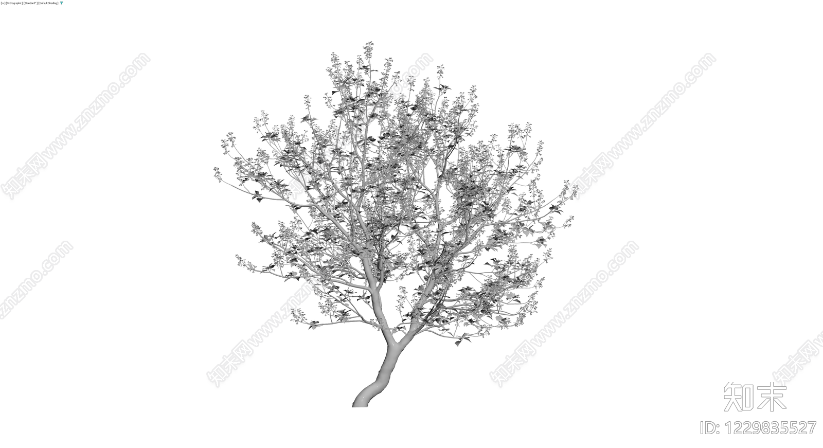 带花灌木乔木模型3D模型下载【ID:1229835527】