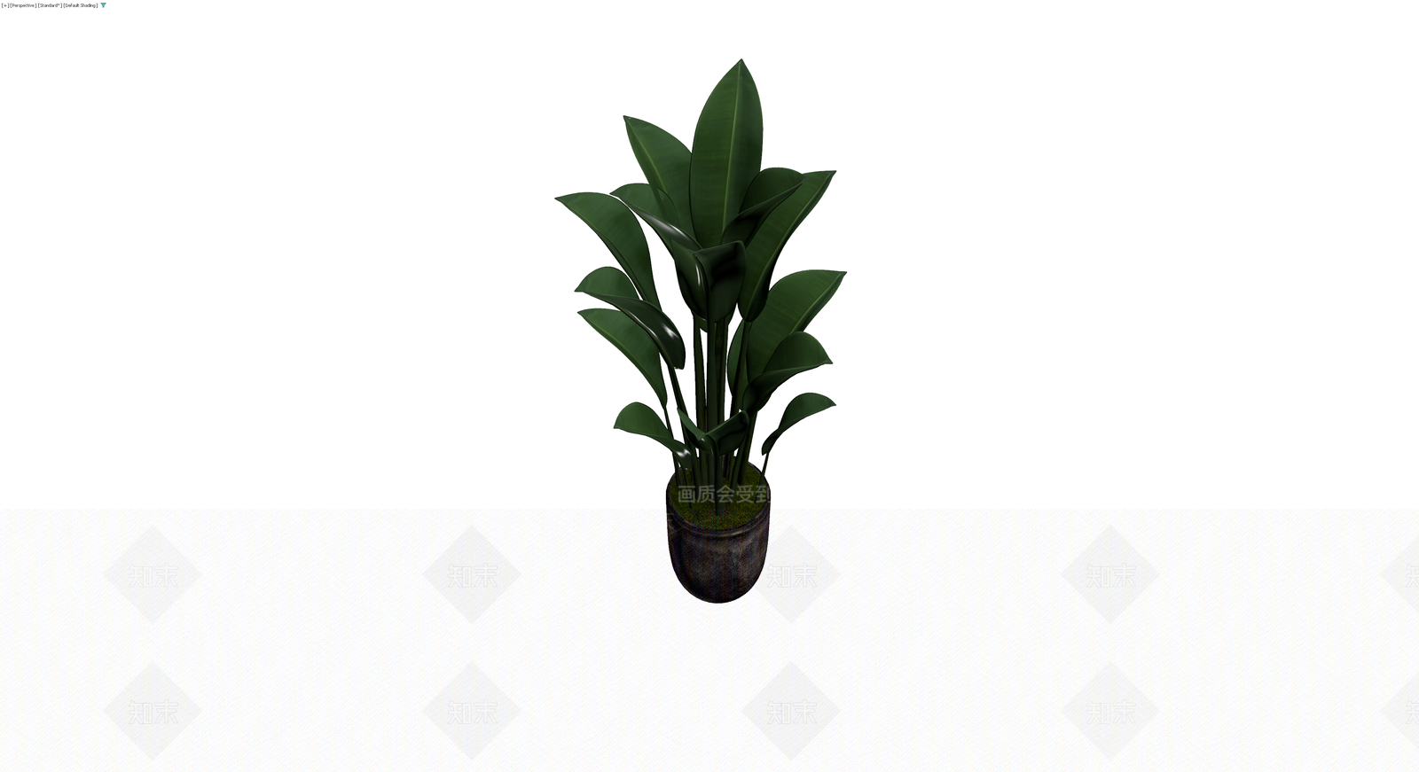 带盆观叶植物盆栽3D模型下载【ID:1230661097】