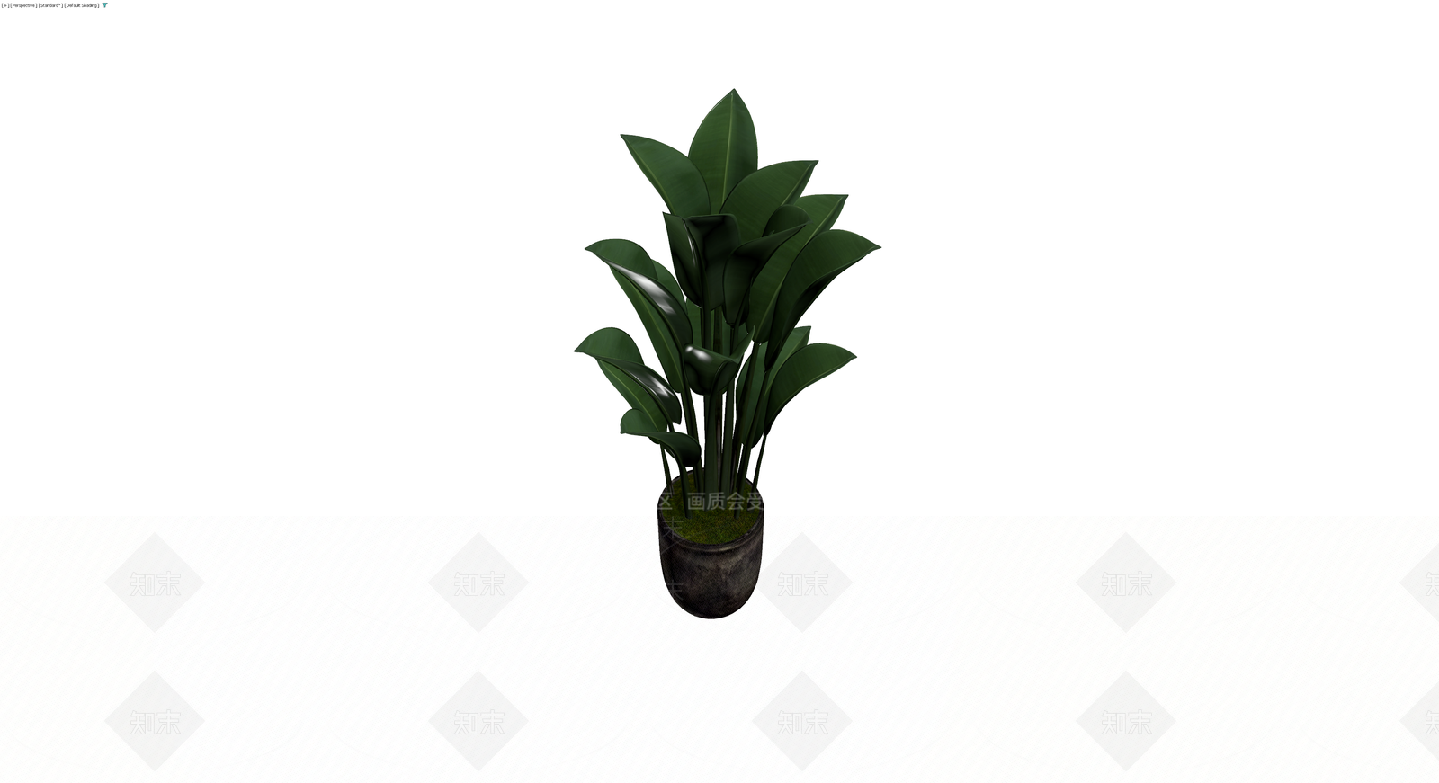 带盆观叶植物盆栽3D模型下载【ID:1230661097】