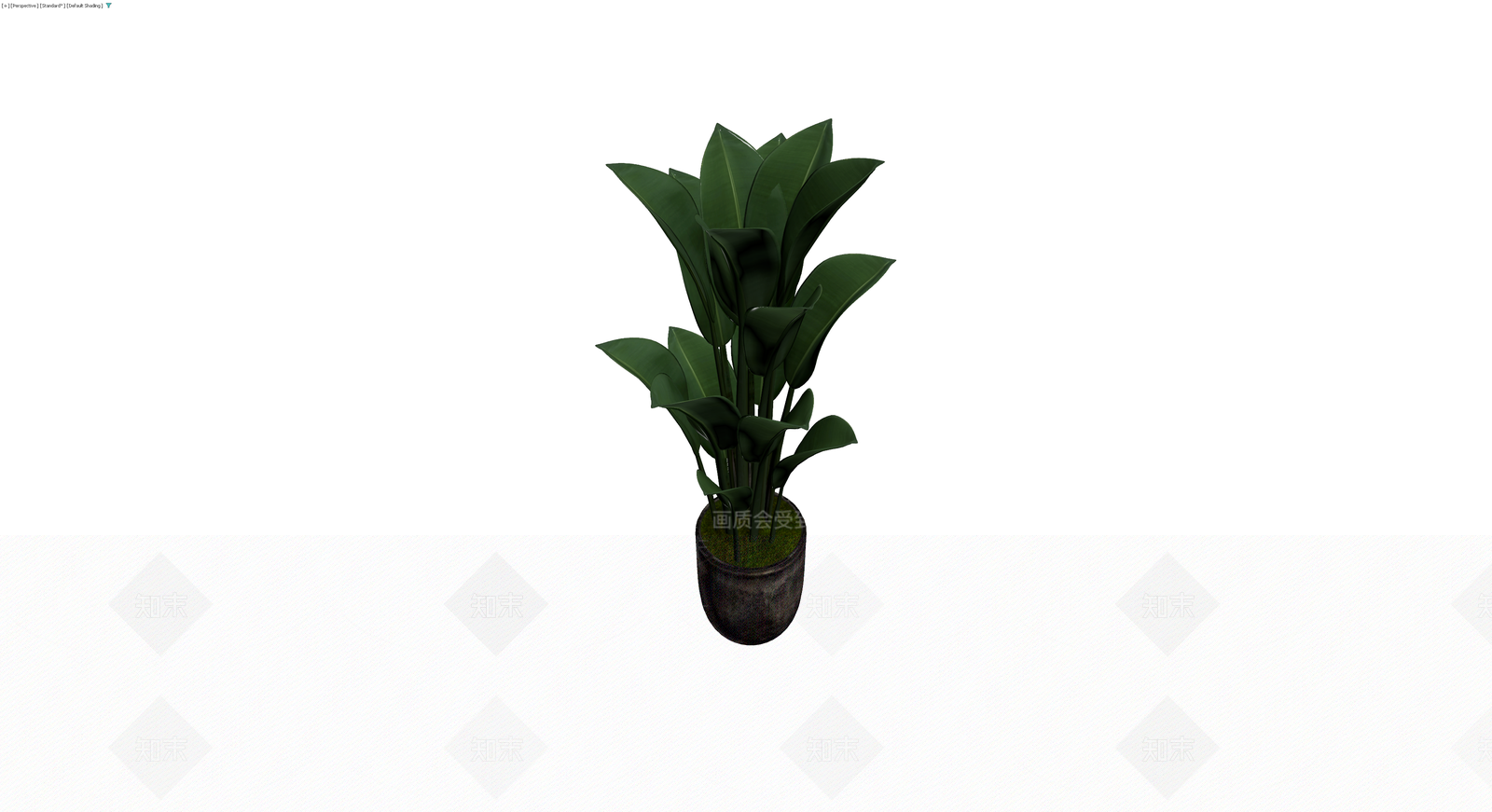 带盆观叶植物盆栽3D模型下载【ID:1230661097】