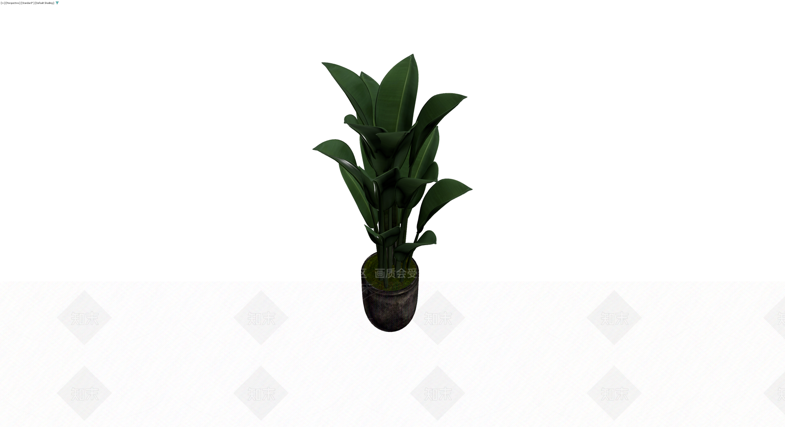 带盆观叶植物盆栽3D模型下载【ID:1230661097】
