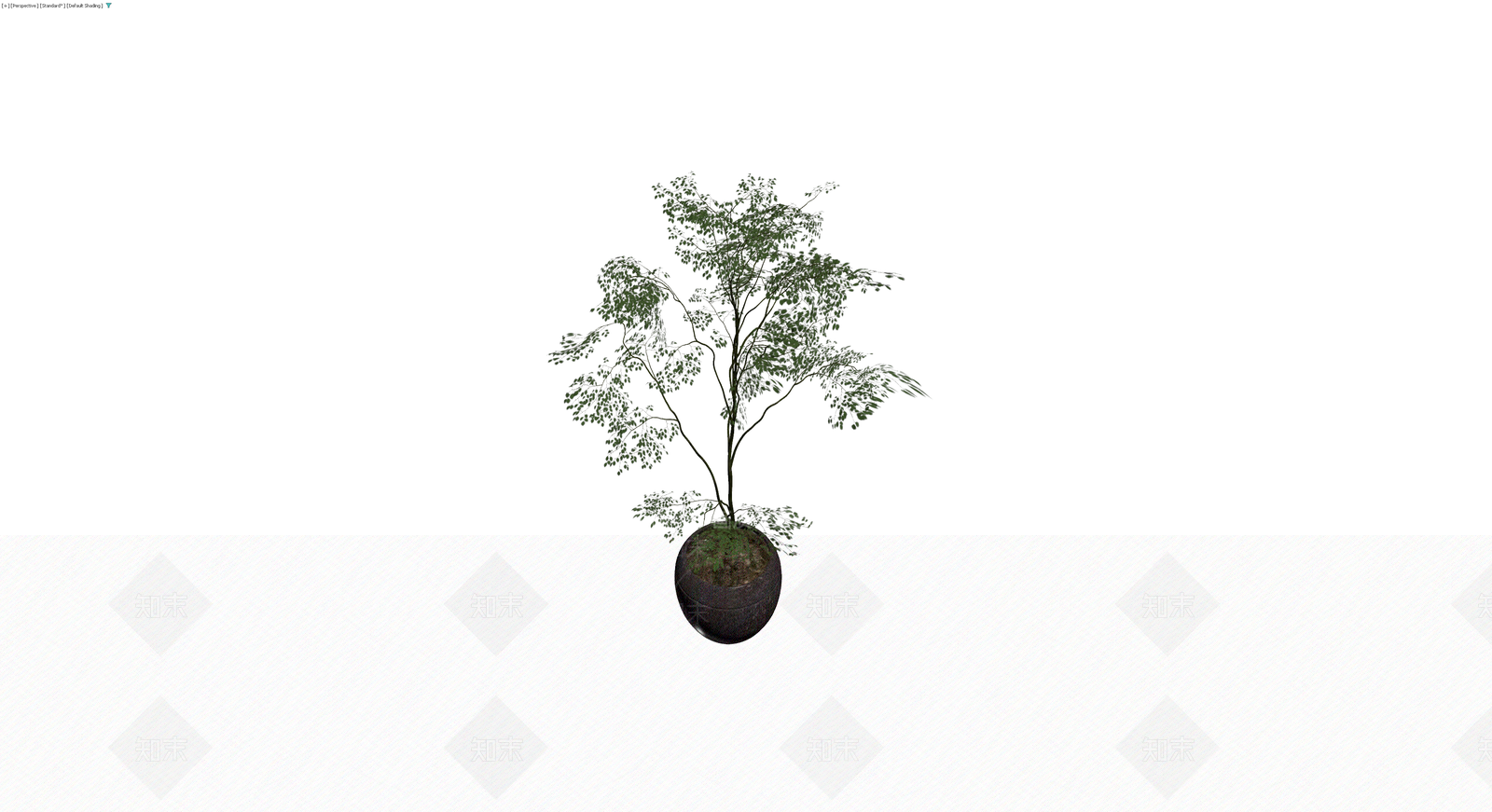 深色花盆绿植盆栽3D模型下载【ID:1229938324】