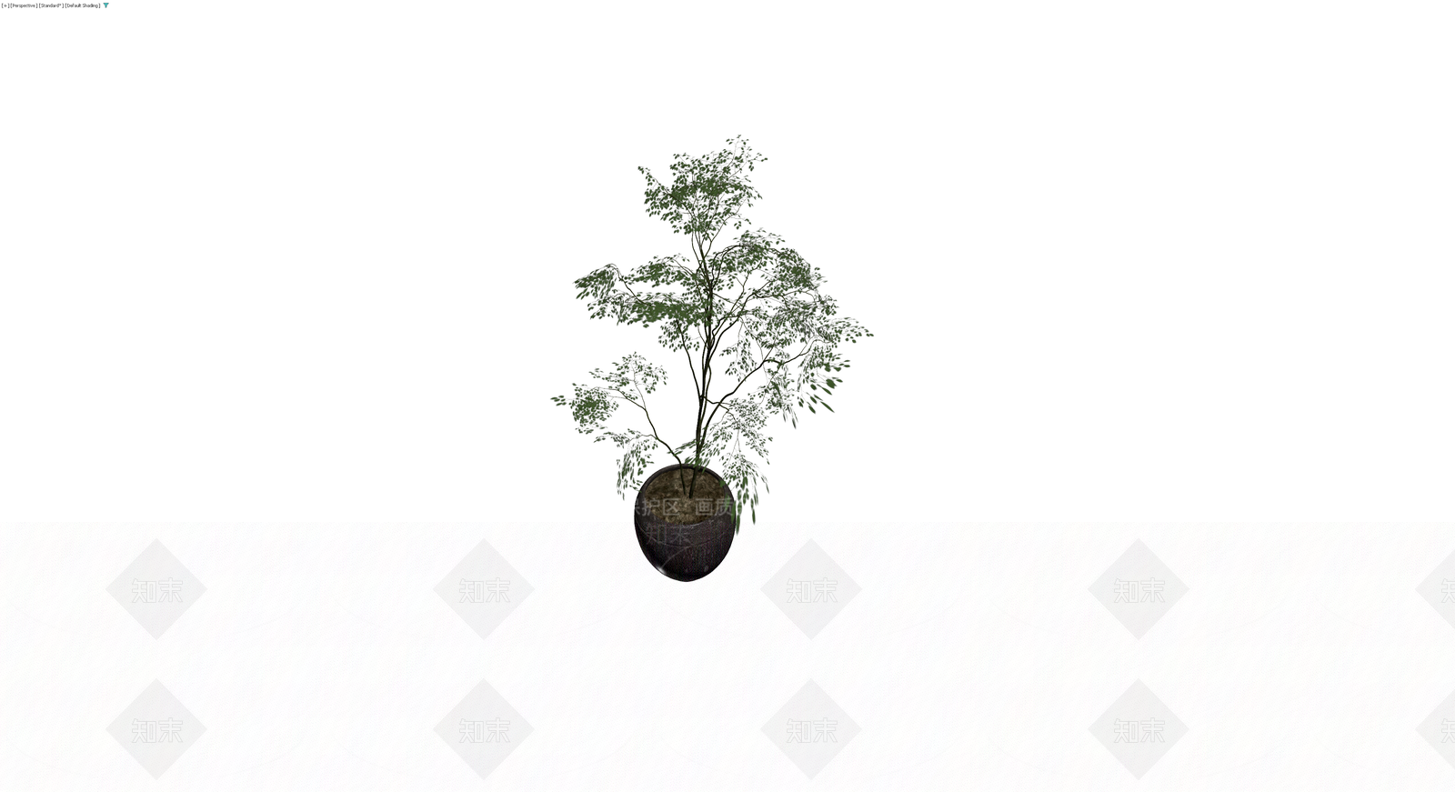 深色花盆绿植盆栽3D模型下载【ID:1229938324】