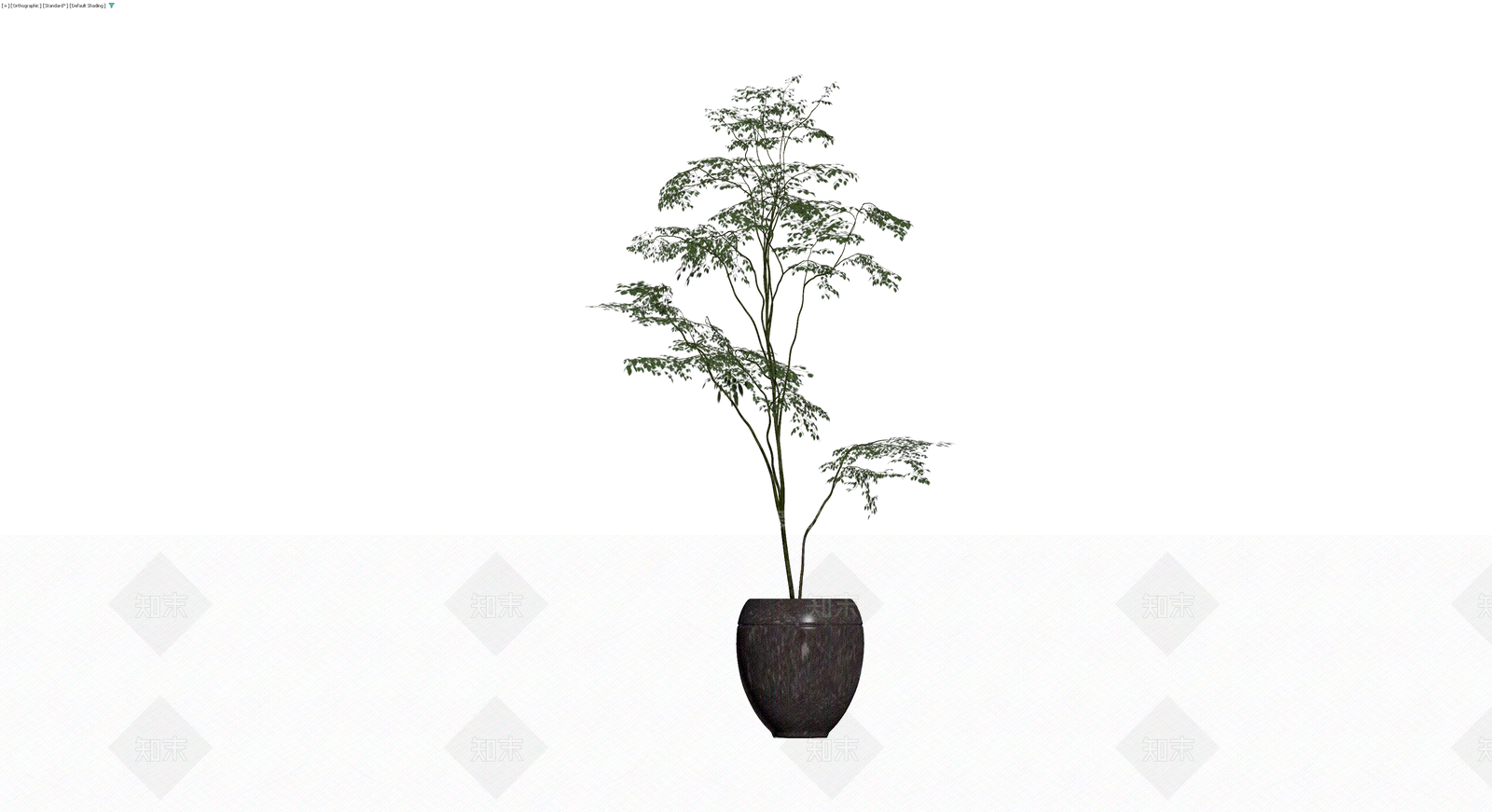 深色花盆绿植盆栽3D模型下载【ID:1229938324】