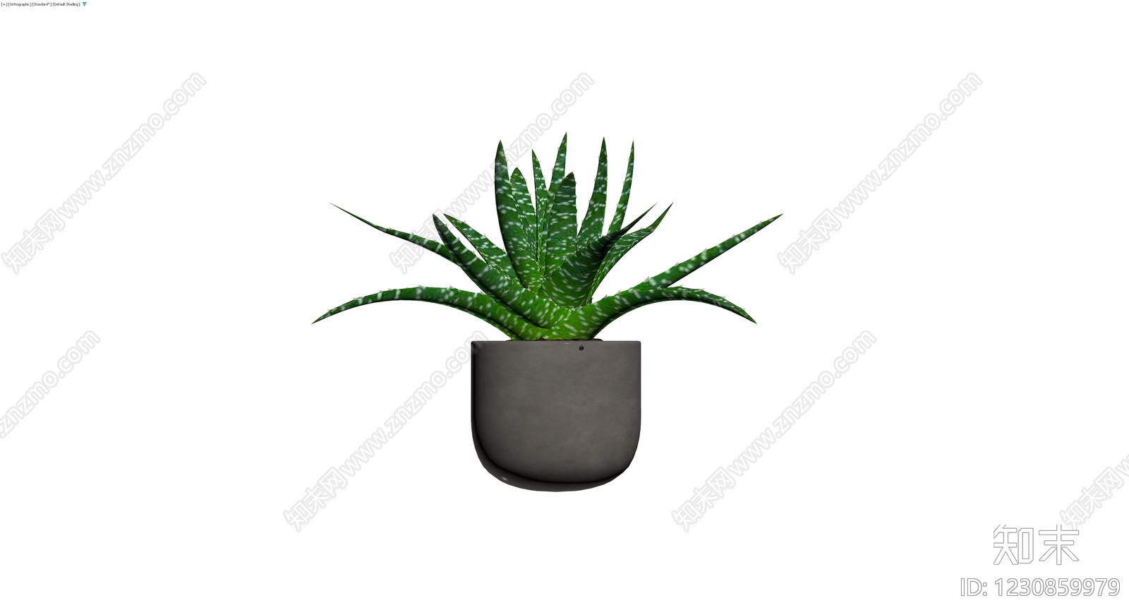 带盆斑点芦荟盆栽3D模型下载【ID:1230859979】