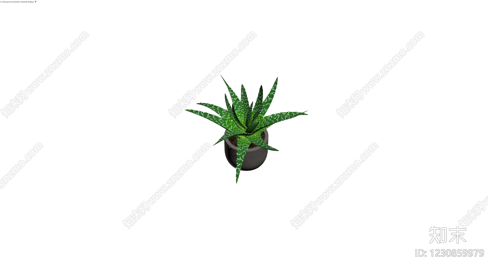 带盆斑点芦荟盆栽3D模型下载【ID:1230859979】