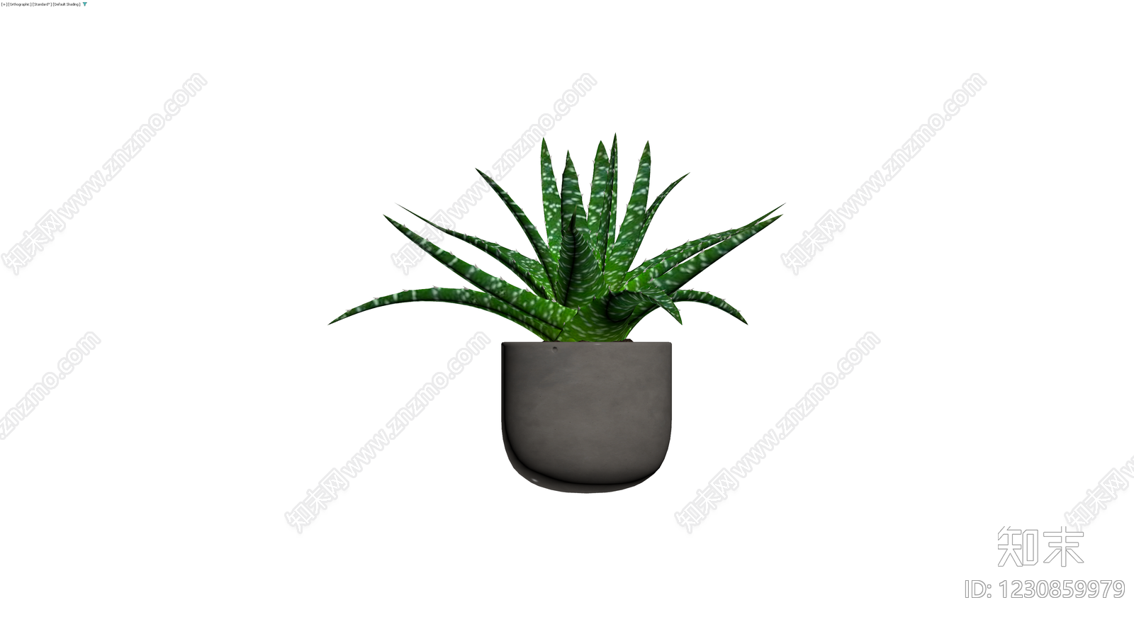 带盆斑点芦荟盆栽3D模型下载【ID:1230859979】