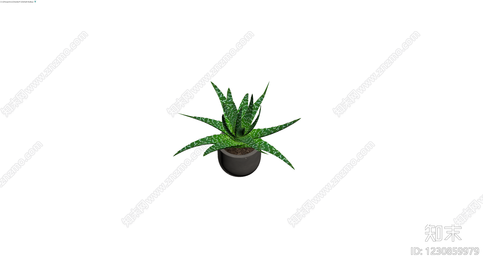 带盆斑点芦荟盆栽3D模型下载【ID:1230859979】