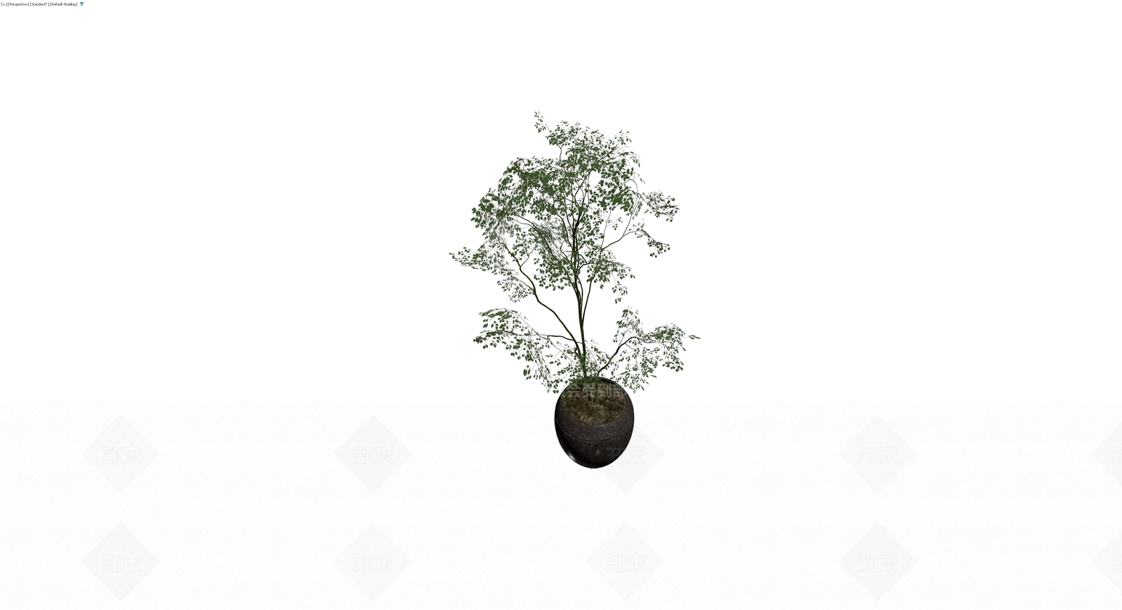 盆栽绿植组合3D模型下载【ID:1230791981】