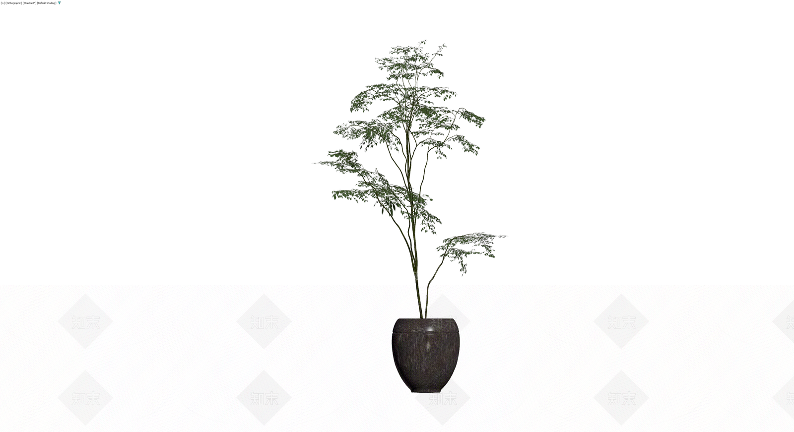 盆栽绿植组合3D模型下载【ID:1230791981】