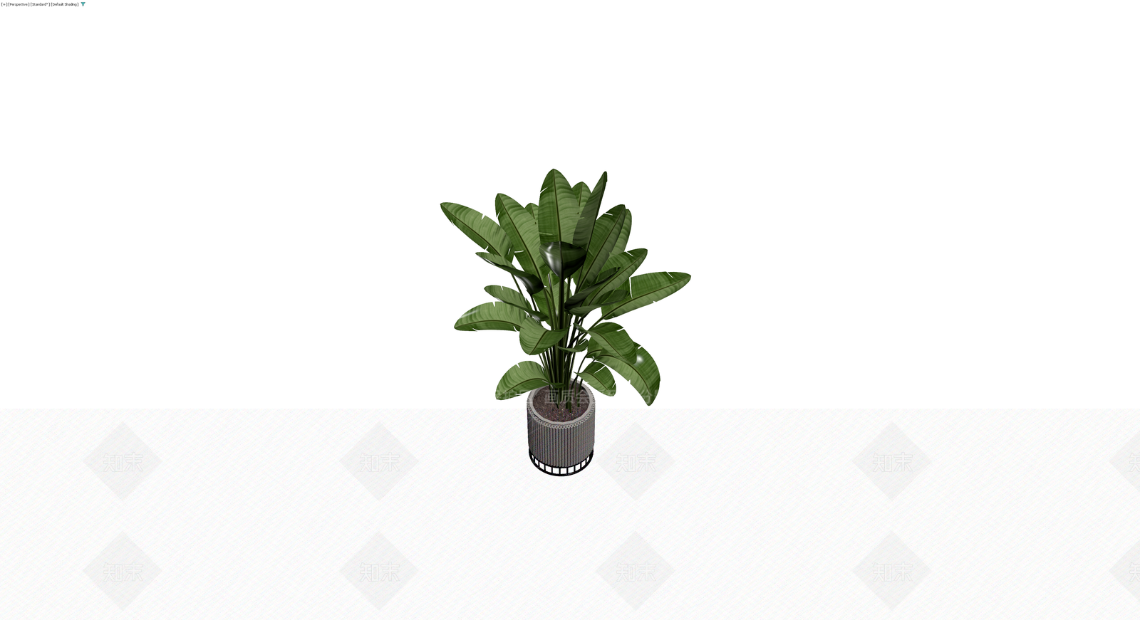 灰色纹理盆栽植物3D模型下载【ID:1230346507】