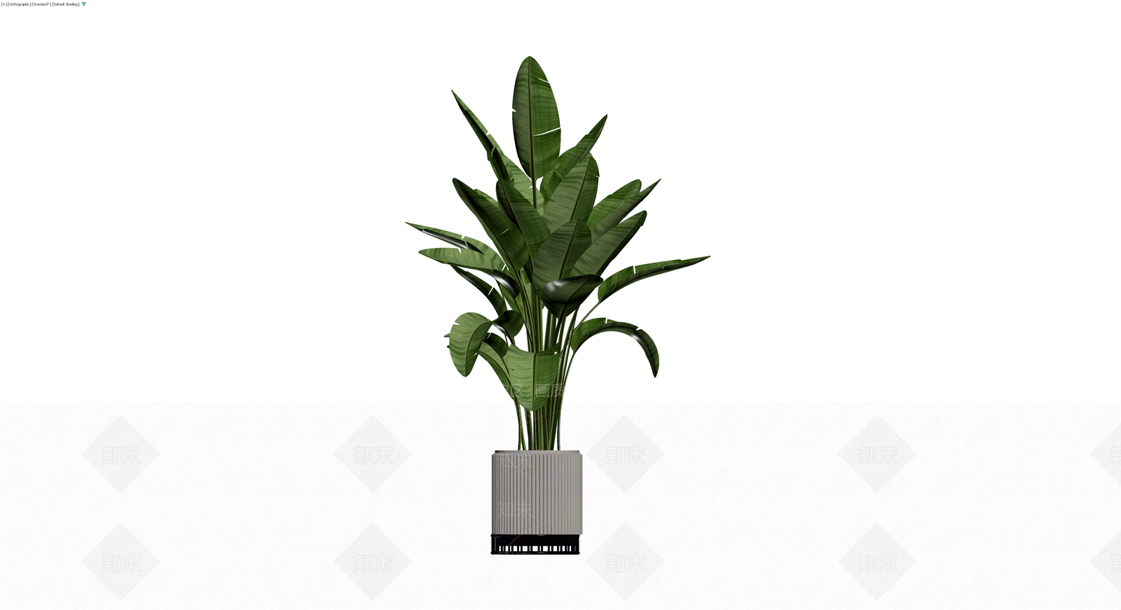 灰色纹理盆栽植物3D模型下载【ID:1230346507】