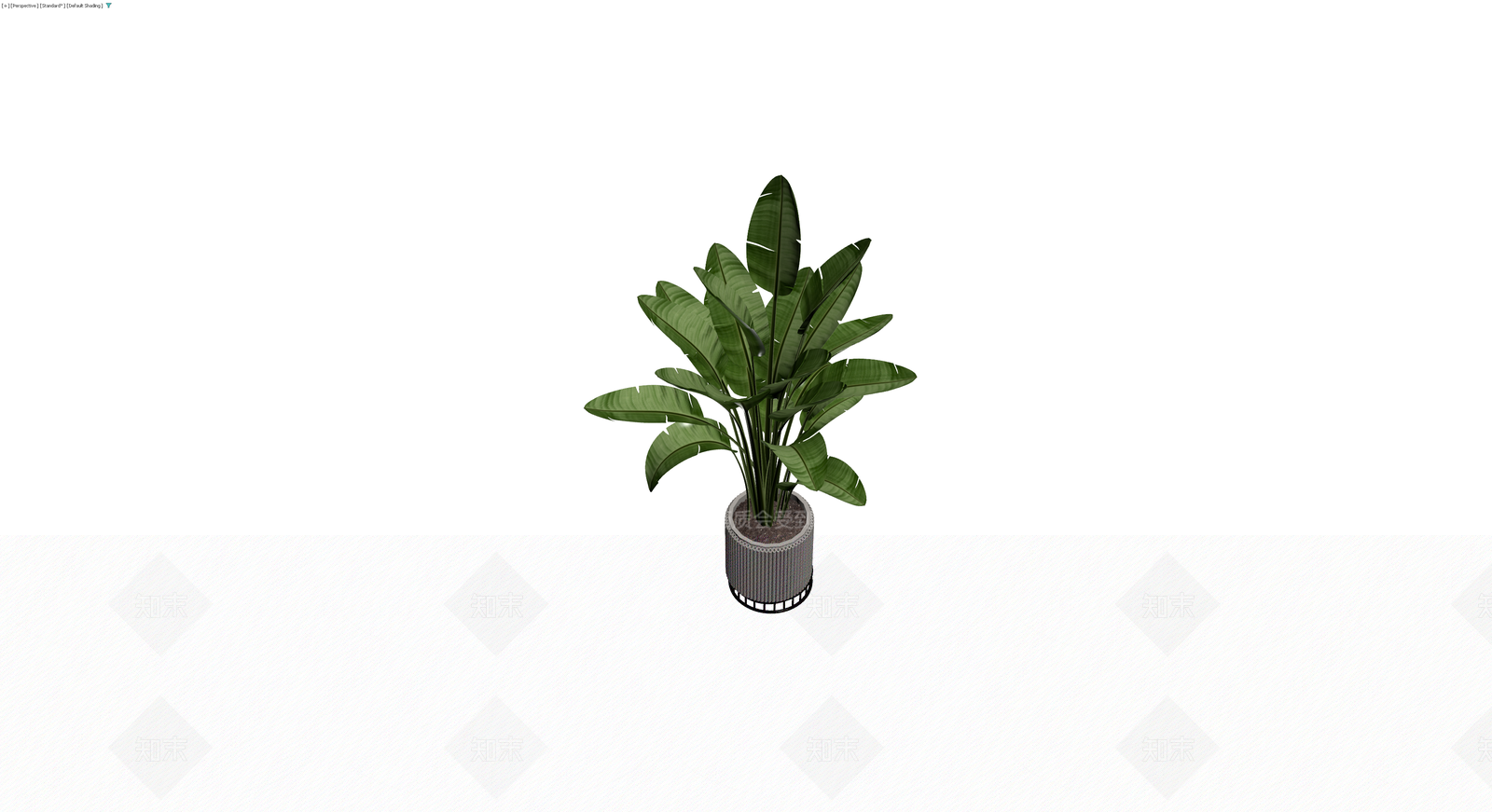 灰色纹理盆栽植物3D模型下载【ID:1230346507】